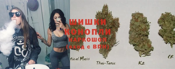 шишки Балабаново