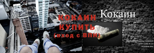 шишки Балабаново