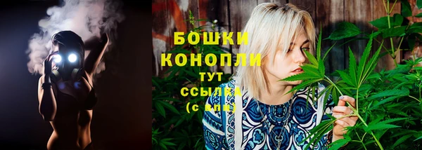 шишки Балабаново